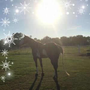 Meet your Posher, Richelle